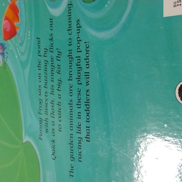 The Very Funny Frog Pop up Book - Picture 3 of 8